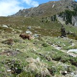 2015 Südtirol Hochpustertal